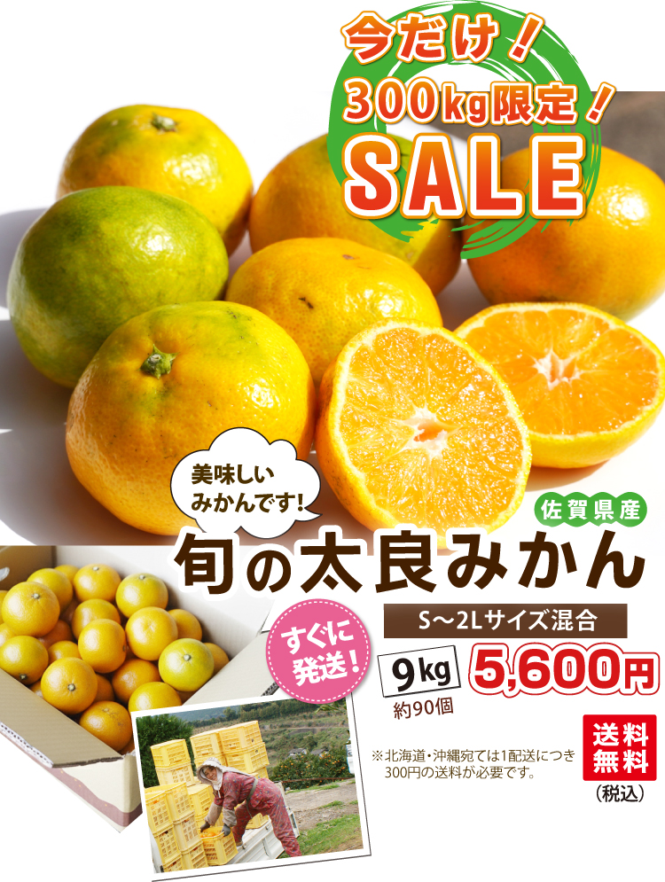 旬の太良みかん 9kg