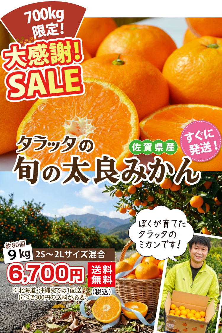 ☆新春セール！！☆【冬の完熟みかん！】タラッタの旬の太良ミカン 9kg