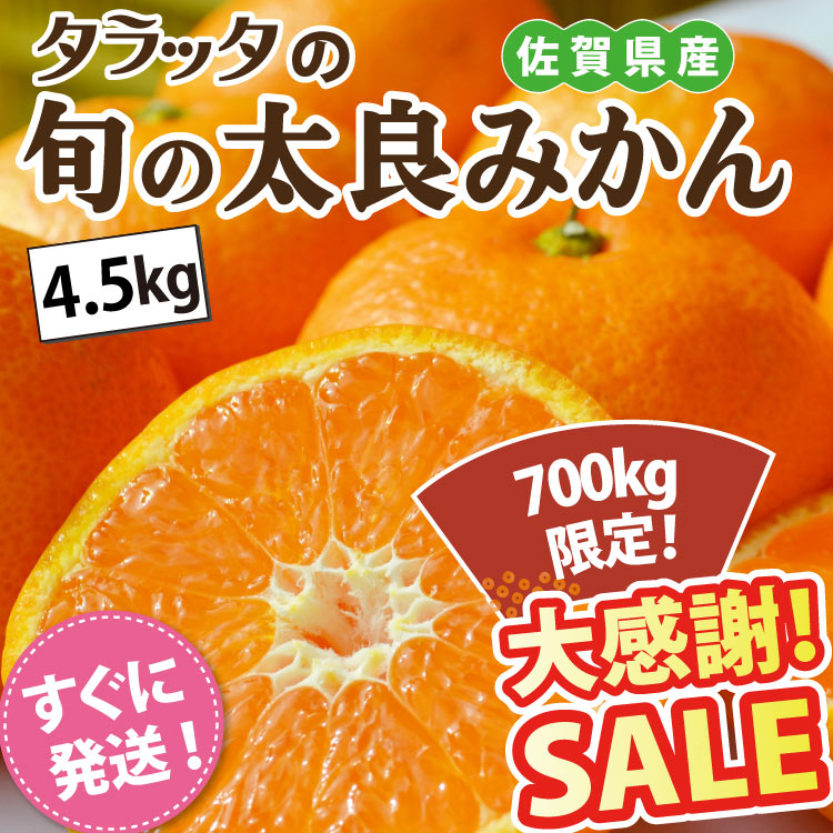 SALE旬の太良みかん