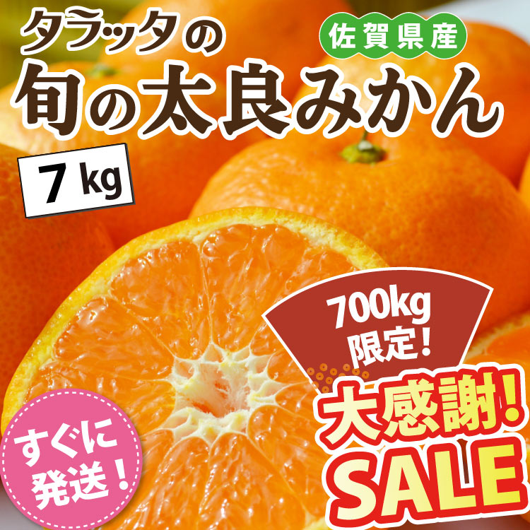 SALE旬の太良みかん