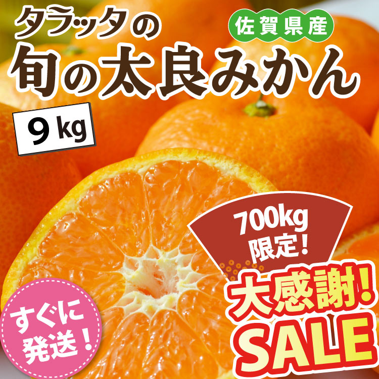 SALE旬の太良みかん