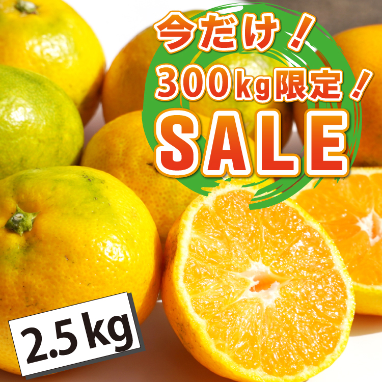 メルマガ・LINE限定！★今だけSALE！300kg限定！！★旬の太良みかん　2.5ｋｇ（温州みかん）