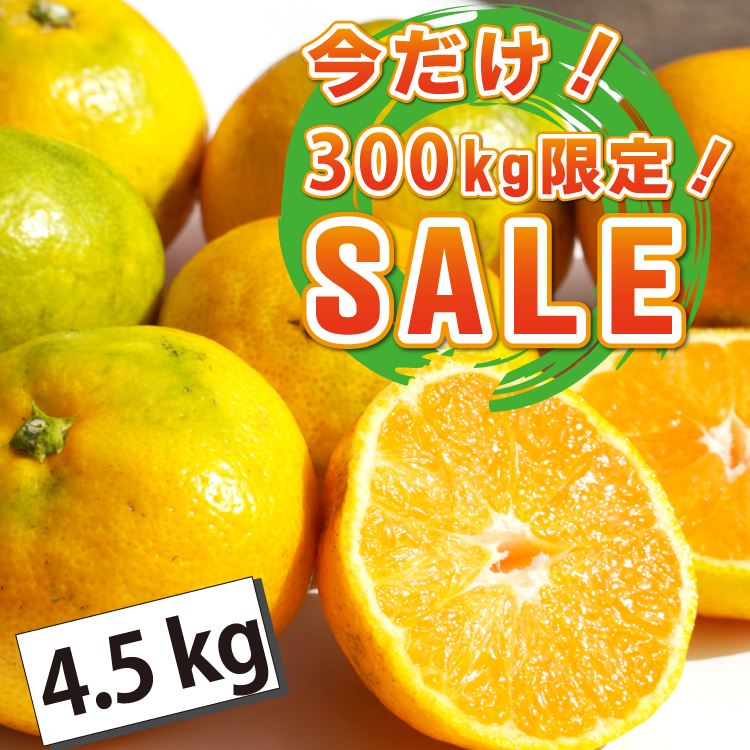 メルマガ・LINE限定！★今だけSALE！300kg限定！！★旬の太良みかん　4.5ｋｇ（温州みかん）