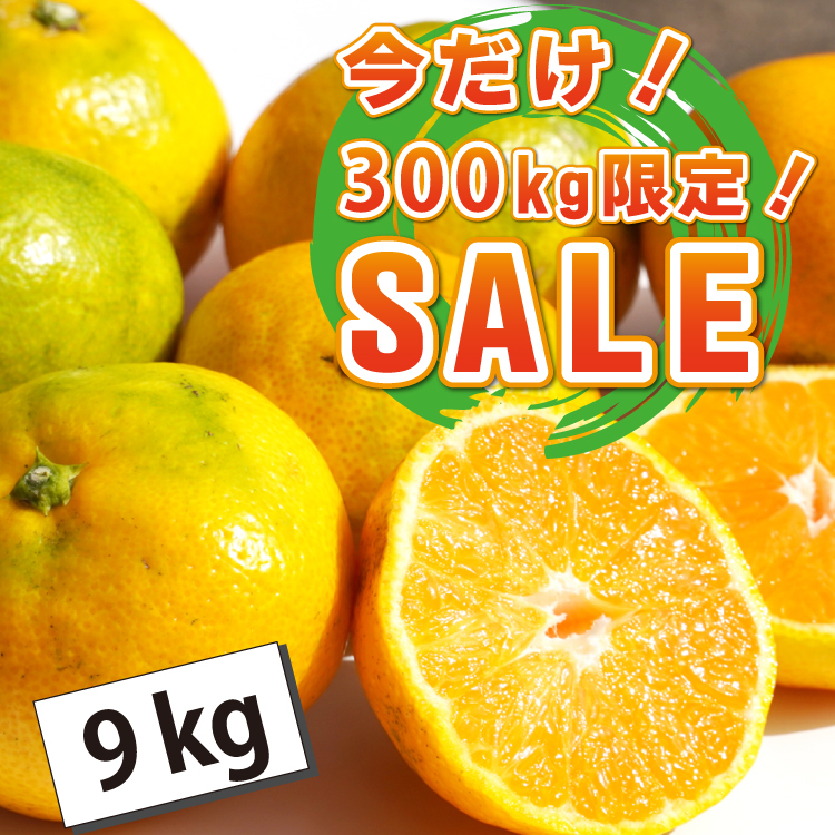 メルマガ・LINE限定！★今だけSALE！300kg限定！！★旬の太良みかん　9ｋｇ（温州みかん）