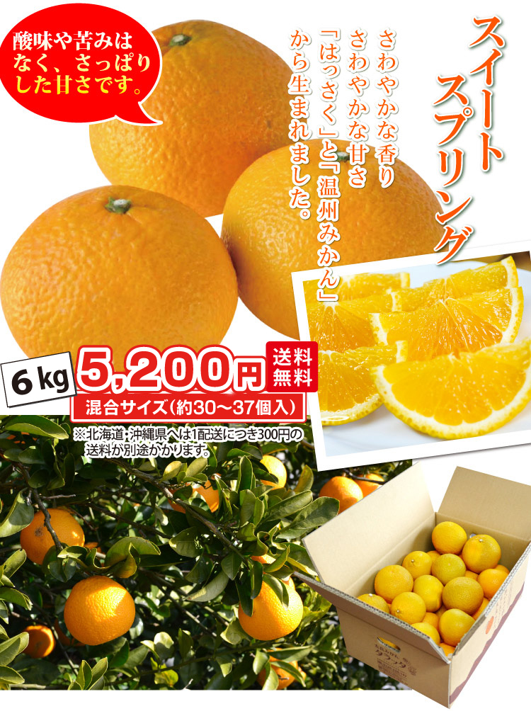 スイートスプリング