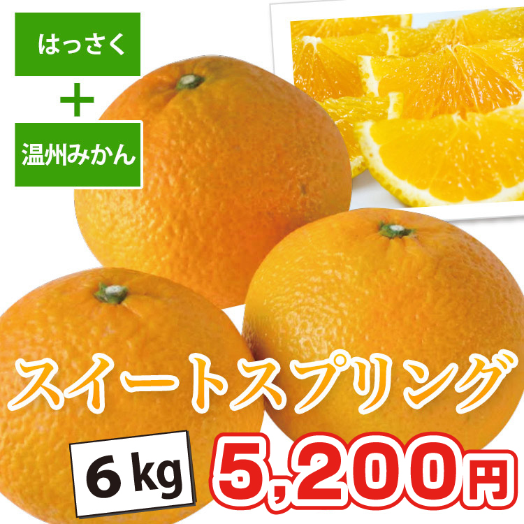 スイートスプリング