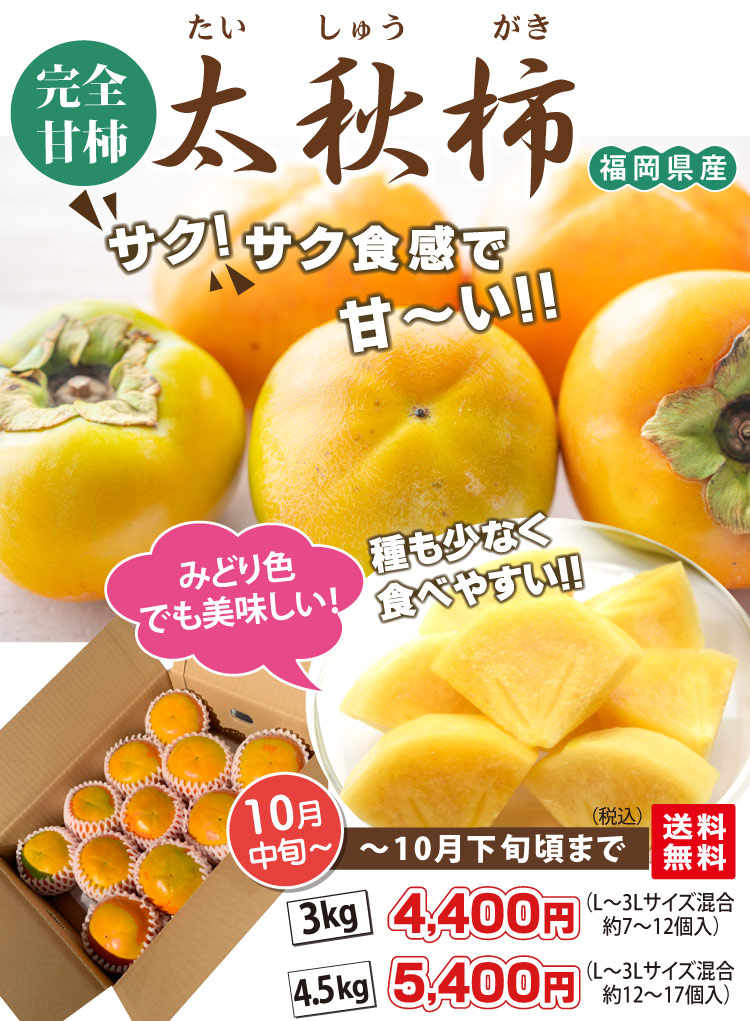 太秋柿 たいしゅう 5年生 糀さま専用 太秋柿 たいしゅう 5年生 太秋 たいしゅう ｜ 柿（