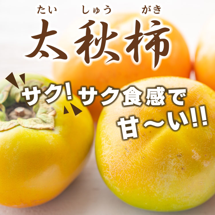 ＜緑色でも美味しい！！＞サクサクで甘い！！希少品種★太秋柿（たいしゅうがき）★【福岡県産】