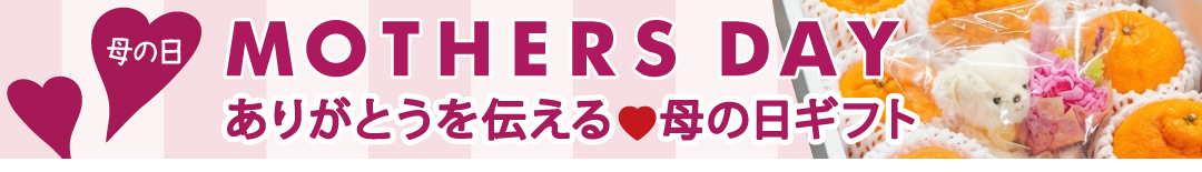 母の日ギフト