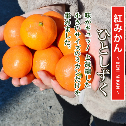 <b><font color=