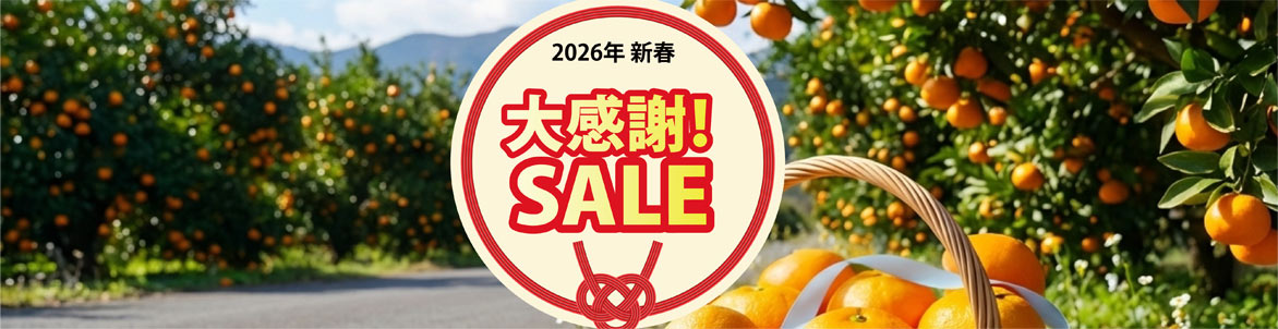 新春セール