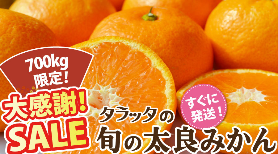 旬の太良みかん